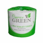 Caprice Green Toilet Rolls - Recycled 2Ply 700Sh (700C)