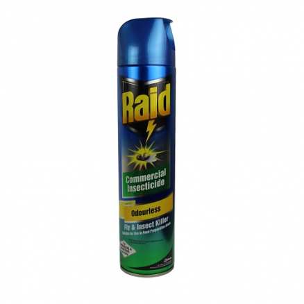 Raid Insect Spray Odourless 400g