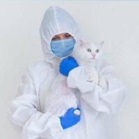 Disposable PPE / Hygiene Wear